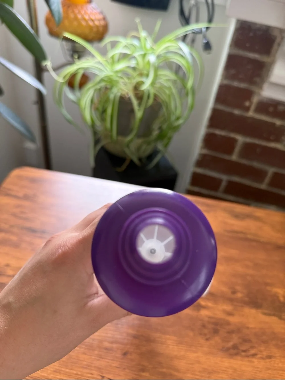 Pampered Chef Easy Accent Decorator – Purple & White Cupcake Icing Piping Tool
